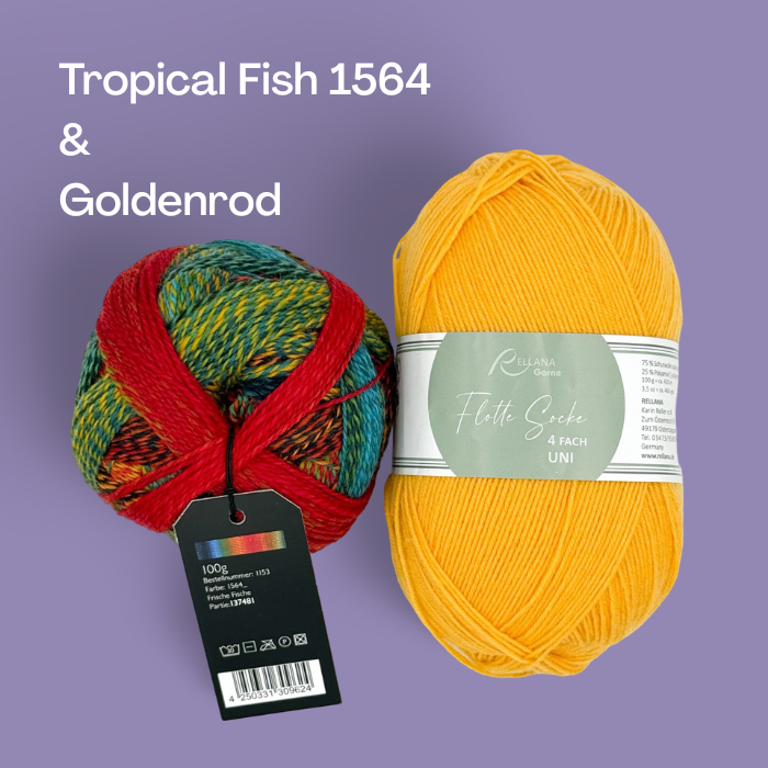 Chameleonic Kits | The 2026 Westknits Surprise Sock Along