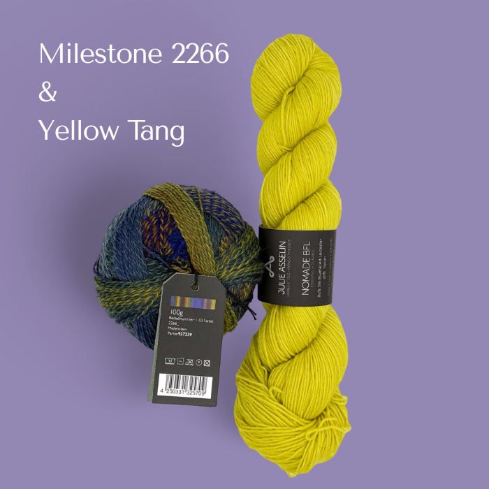 Chameleonic Kits | The 2026 Westknits Surprise Sock Along