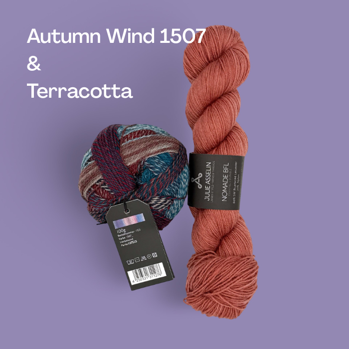 Chameleonic Kits | The 2026 Westknits Surprise Sock Along