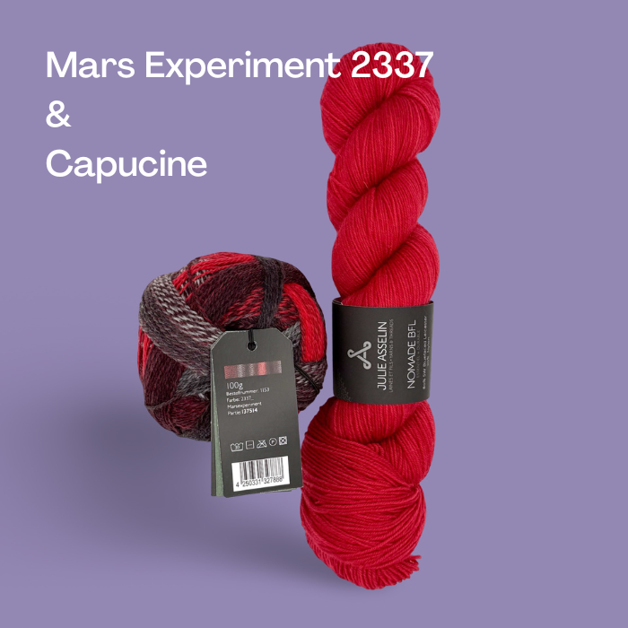Chameleonic Kits | The 2026 Westknits Surprise Sock Along
