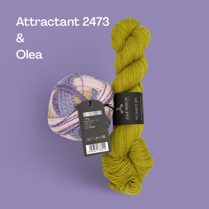 Chameleonic Kits | The 2026 Westknits Surprise Sock Along