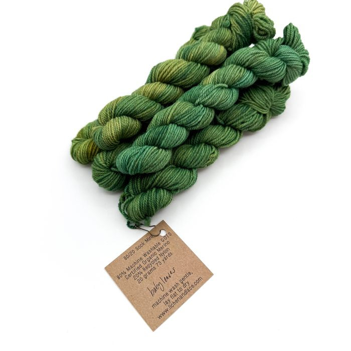80/20 Sock Mini | Lichen and Lace