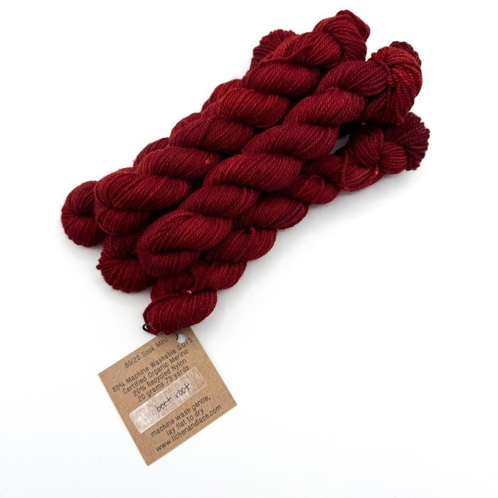 80/20 Sock Mini | Lichen and Lace