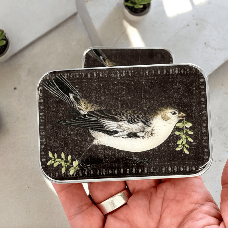 Birdsong | Notions Tin