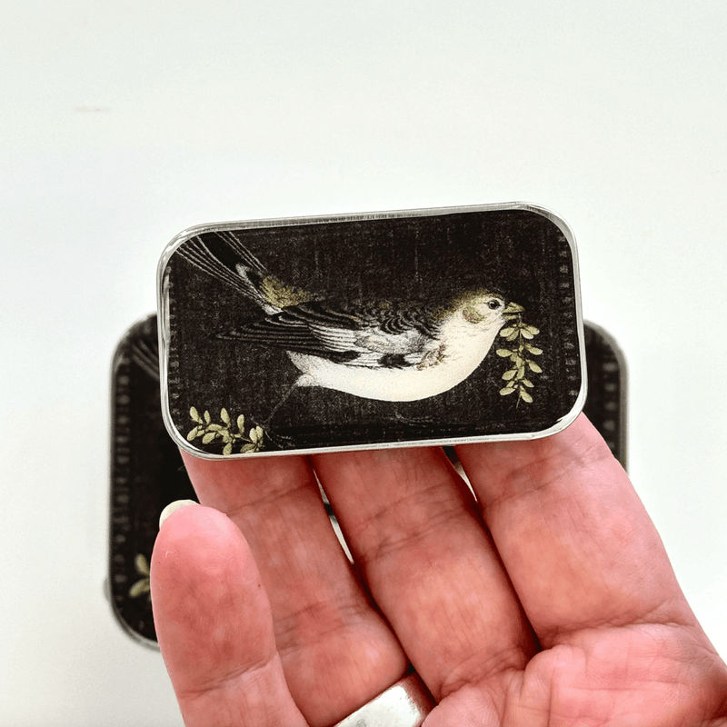 Birdsong | Notions Tin
