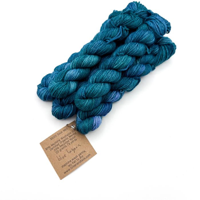 80/20 Sock Mini | Lichen and Lace