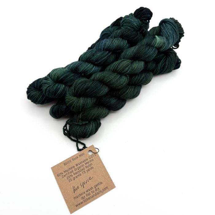 80/20 Sock Mini | Lichen and Lace