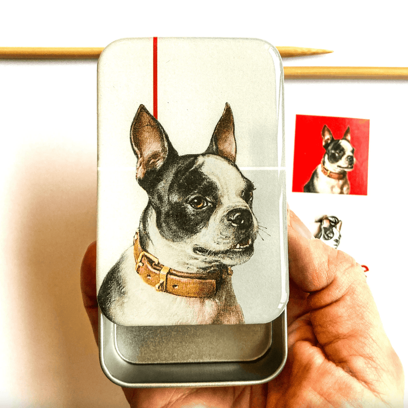 Boston Terrier - Large | Notions Tin
