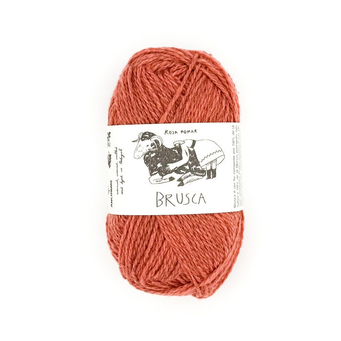 B581 | Brusca