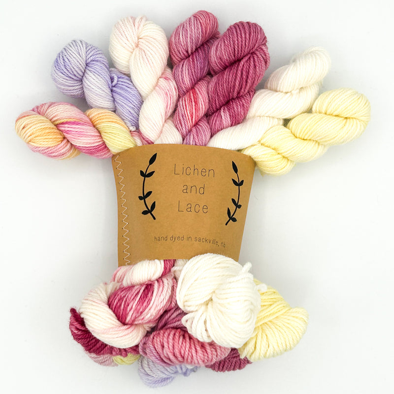 Buttercup Cove | Mini Sock Fade Set