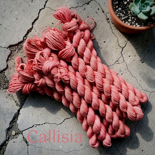 Rose Hill Yarn Mini's