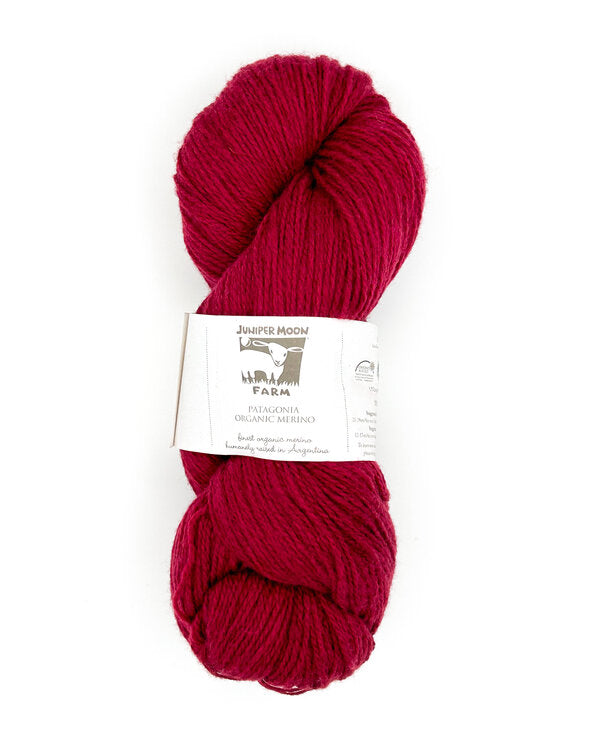 127 Cardinal | Patagonia