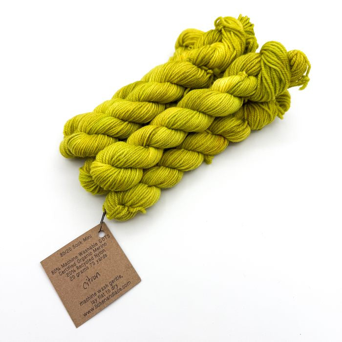 80/20 Sock Mini | Lichen and Lace