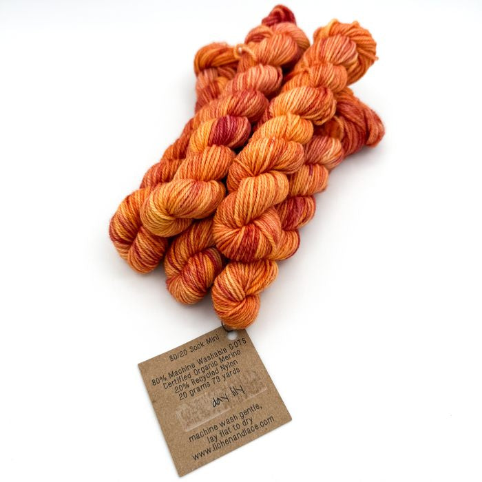 80/20 Sock Mini | Lichen and Lace