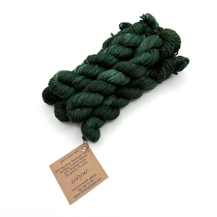 80/20 Sock Mini | Lichen and Lace