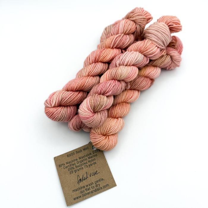 80/20 Sock Mini | Lichen and Lace