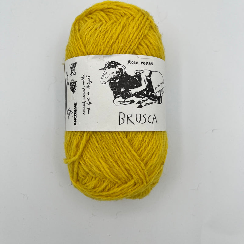 A579 | Brusca