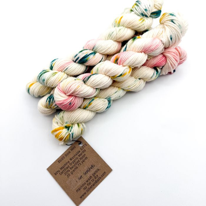 80/20 Sock Mini | Lichen and Lace
