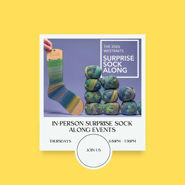 SAL Sock - Along