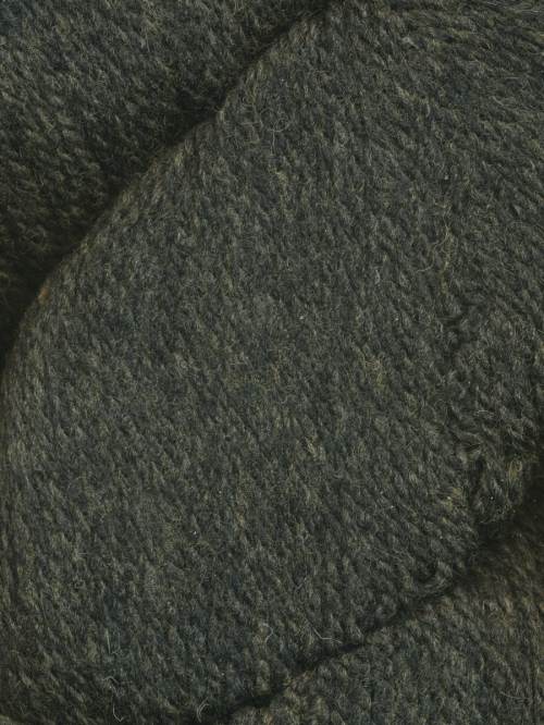 108 Seaweed | Patagonia