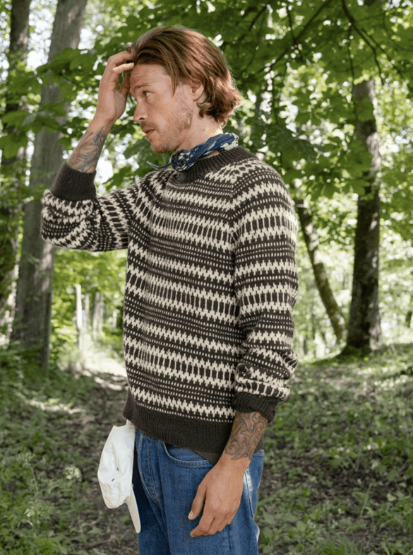 Kleiva Men's Sweater 2410 - 05