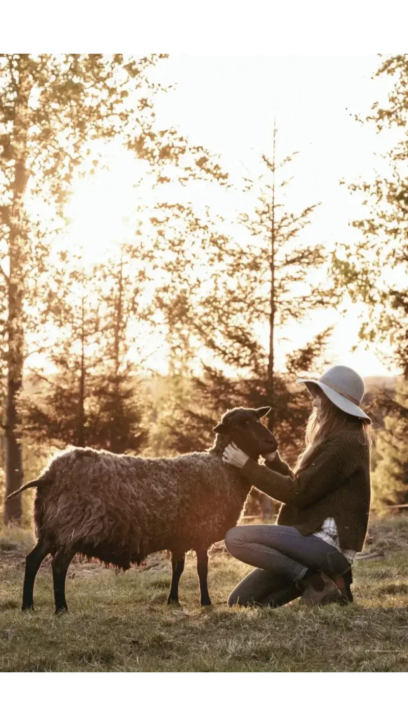 Lakeside Stitches - Gentle Knits from the North