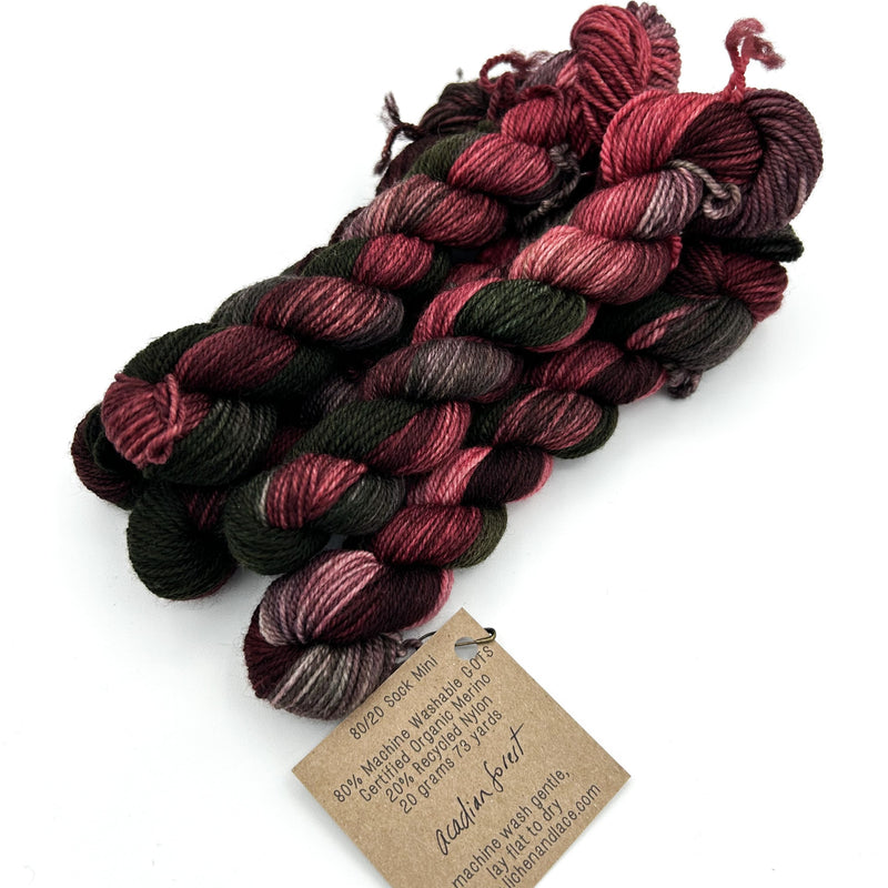 80/20 Sock Mini | Lichen and Lace
