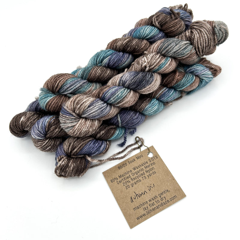 80/20 Sock Mini | Lichen and Lace