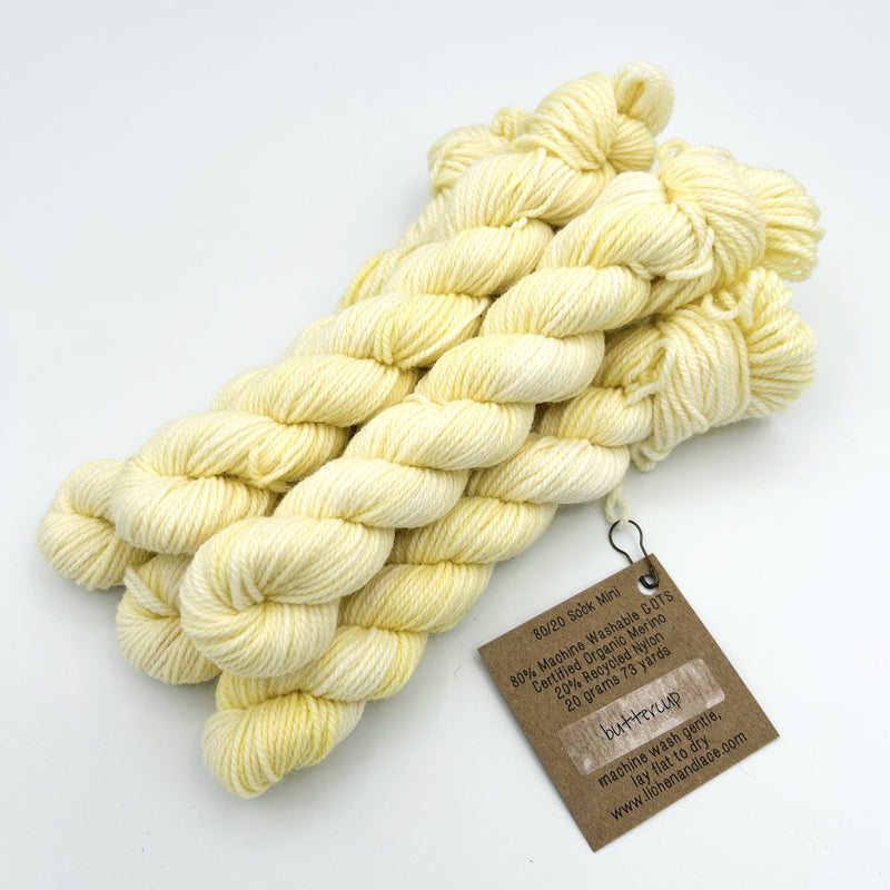 80/20 Sock Mini | Lichen and Lace
