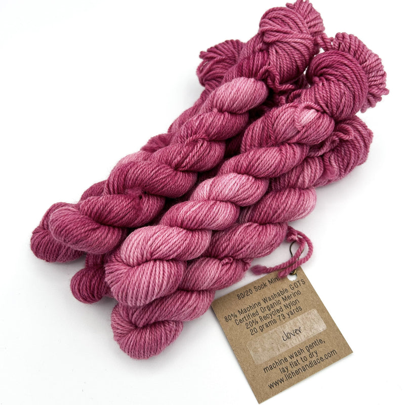 80/20 Sock Mini | Lichen and Lace