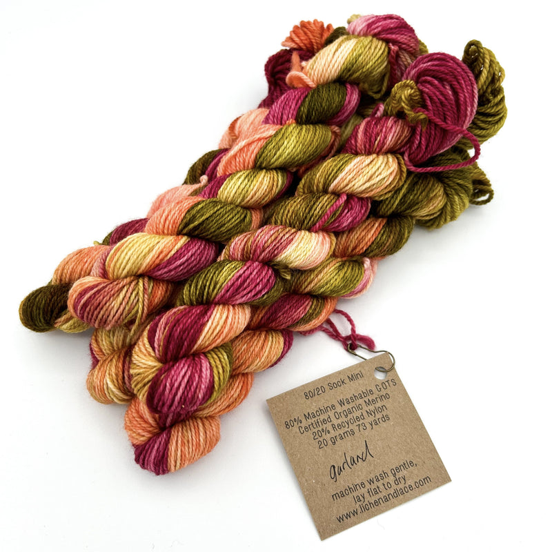 80/20 Sock Mini | Lichen and Lace