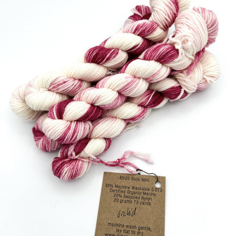 80/20 Sock Mini | Lichen and Lace