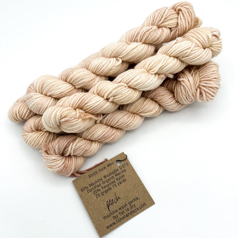 80/20 Sock Mini | Lichen and Lace