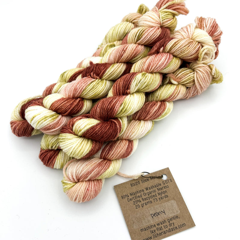 80/20 Sock Mini | Lichen and Lace