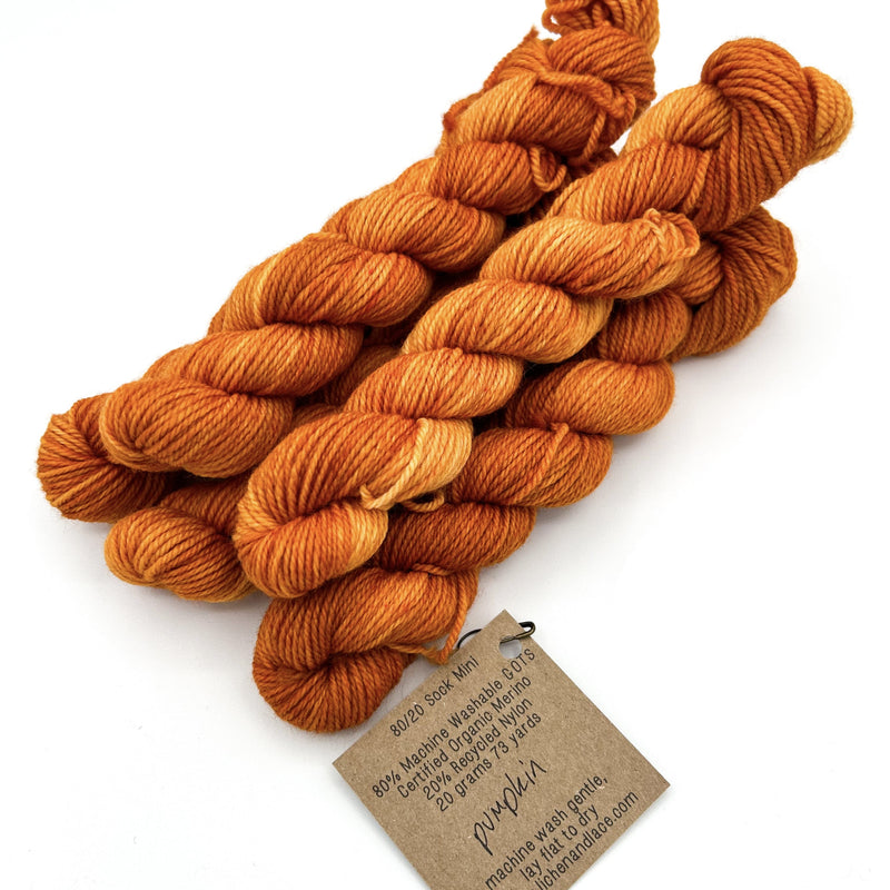 80/20 Sock Mini | Lichen and Lace