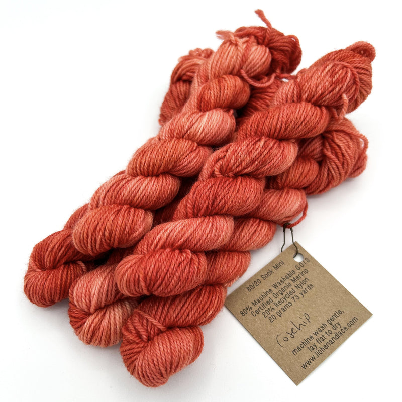 80/20 Sock Mini | Lichen and Lace
