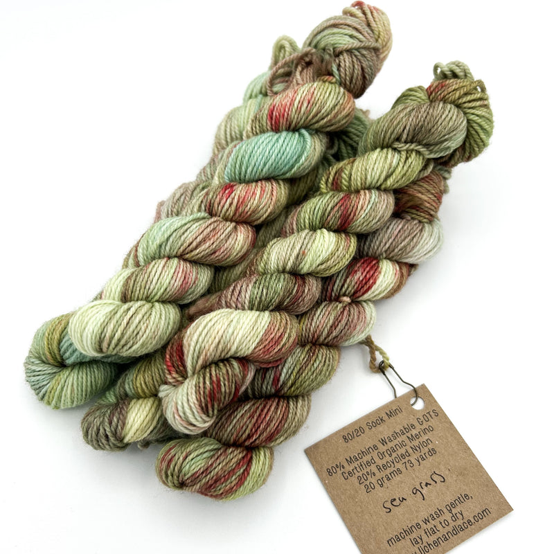 80/20 Sock Mini | Lichen and Lace