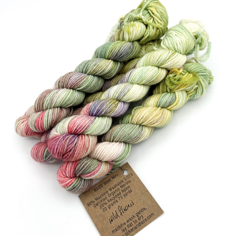 80/20 Sock Mini | Lichen and Lace