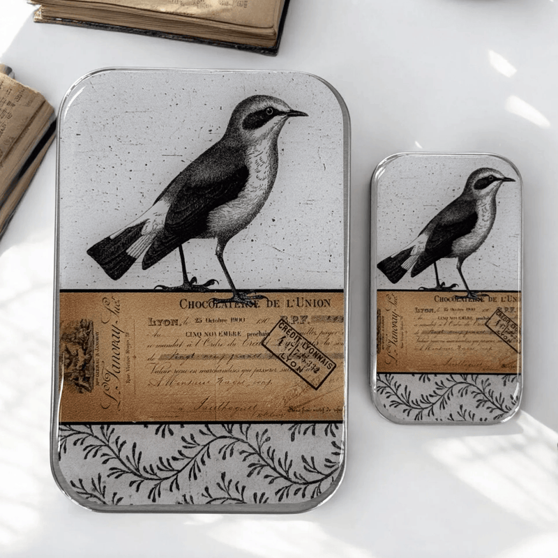 Little Bird | Notions Tin