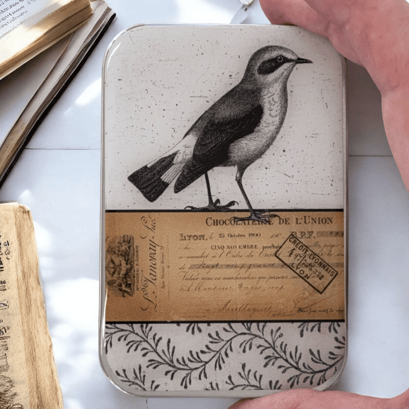 Little Bird | Notions Tin