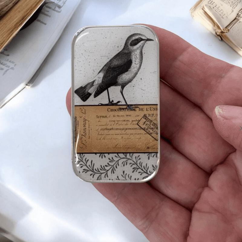 Little Bird | Notions Tin