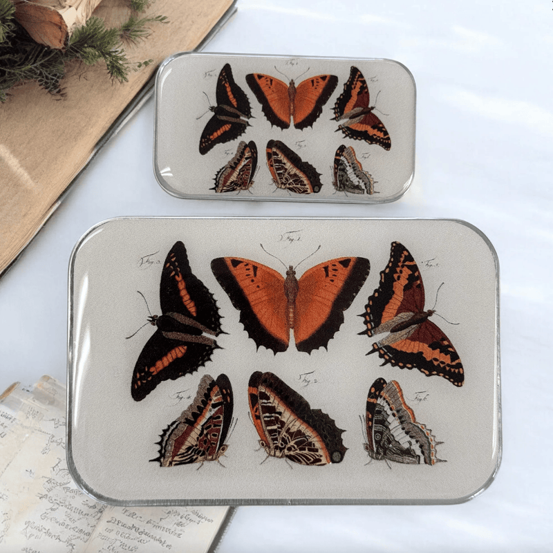 Orange Butterflies | Notions Tin