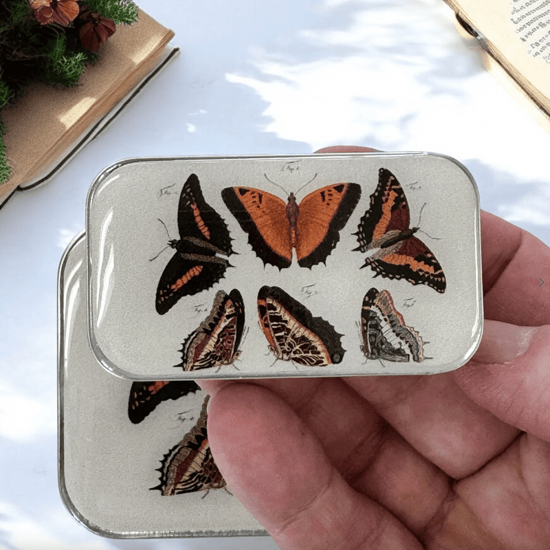 Orange Butterflies | Notions Tin