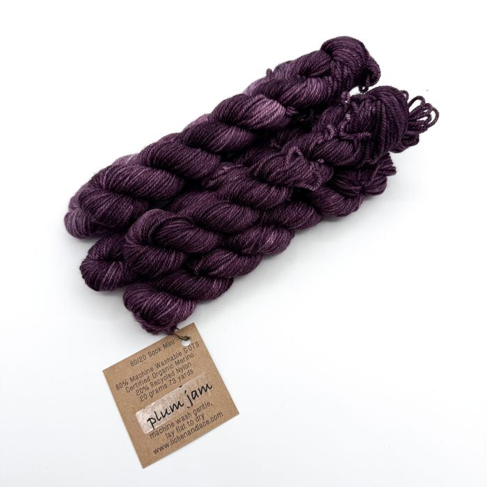 80/20 Sock Mini | Lichen and Lace