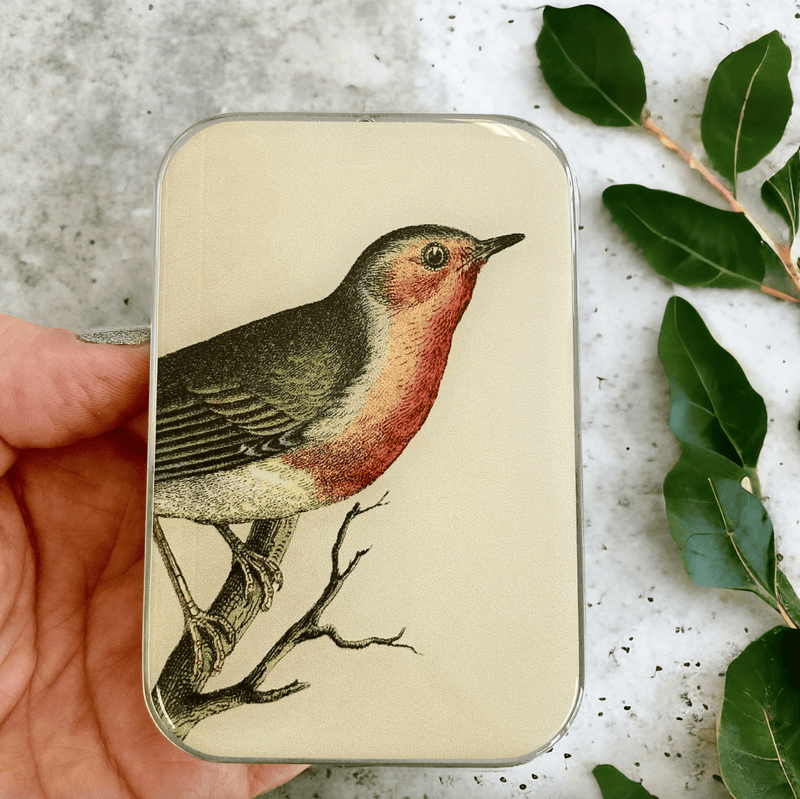 Vintage Robin | Notions Tin