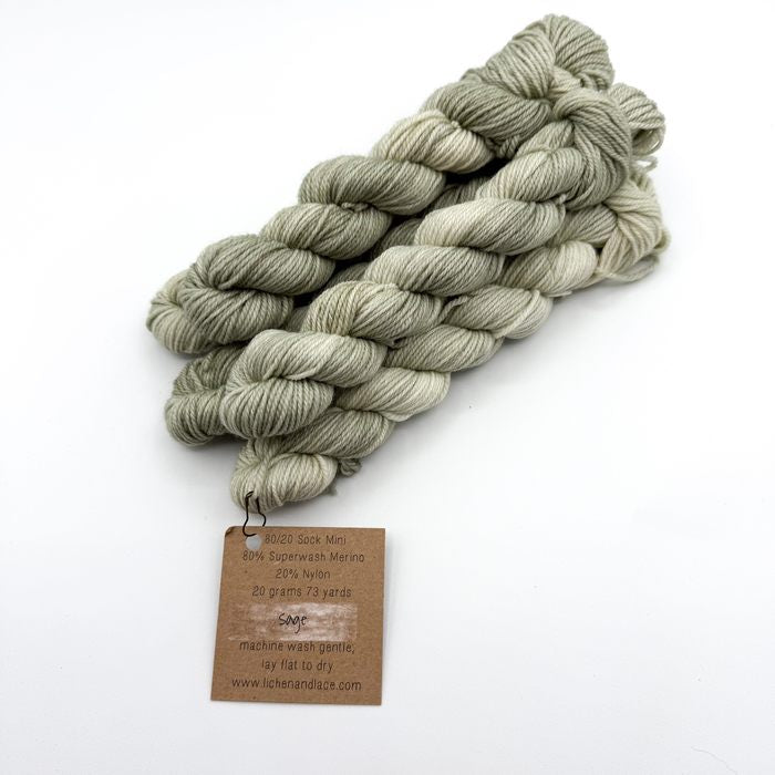 80/20 Sock Mini | Lichen and Lace
