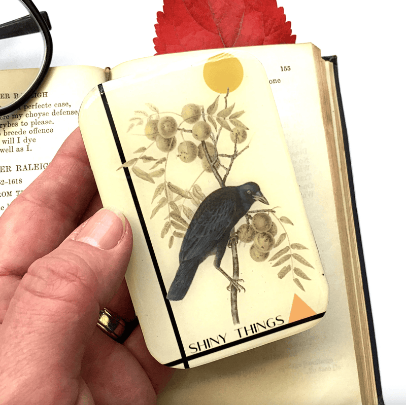 Shiny Things Crow | Notions Tin