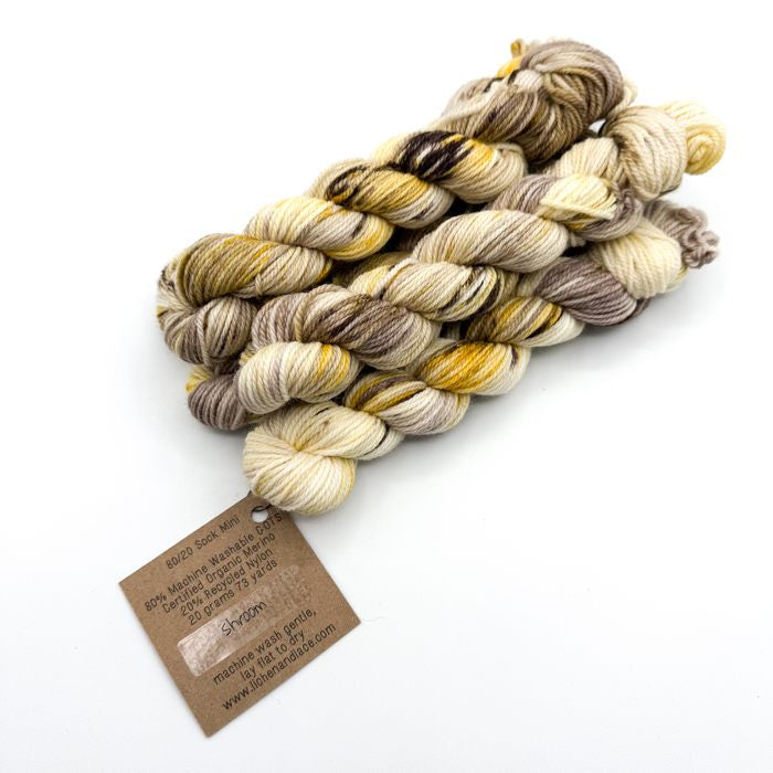 80/20 Sock Mini | Lichen and Lace