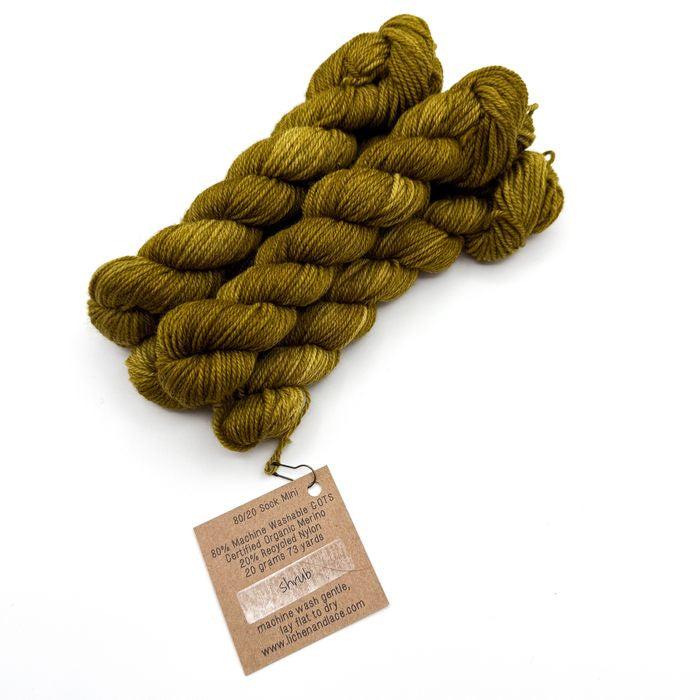 80/20 Sock Mini | Lichen and Lace