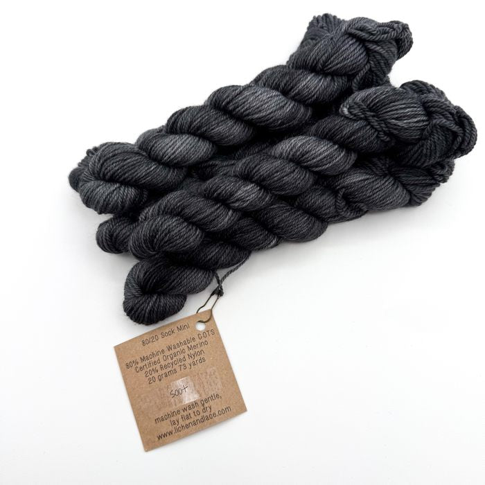 80/20 Sock Mini | Lichen and Lace